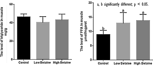 betaine-fat-metabolism.gif