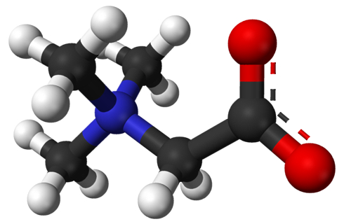 Heavy training + betaine = more testosterone Heavy training + betaine = more testosterone