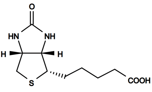 Biotin, a feel-good vitamin? Biotin, a feel-good vitamin?
