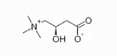 carnitine4.gif
