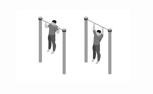 Which exercise is better? The pull-up or the pull-down? Which exercise is better? The pull-up or the pull-down?