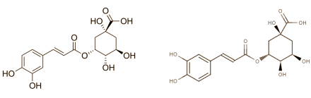 chlorogenicacidsstr.gif