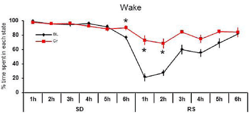 creatine-sleep-deprivation-2.gif