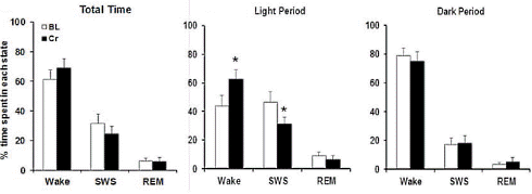 creatine-sleep-deprivation.gif