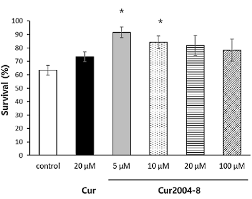 cur2004-8-2.gif