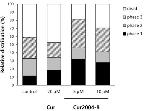 cur2004-8-4-2.gif