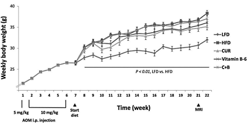 curcumin-b6-colorectal-cancer-0.gif