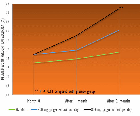 ginger-cognition-1.gif