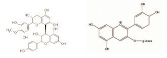 grapejuicecompounds.gif