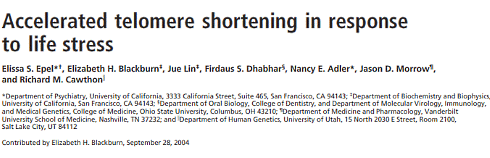 Stress reduces life expectancy at molecular level Stress reduces life expectancy at molecular level