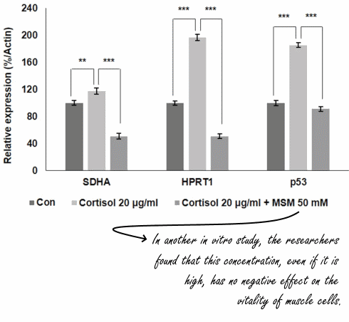 msm-cortisol-inhibitor.gif