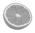 orange-fruit.jpg