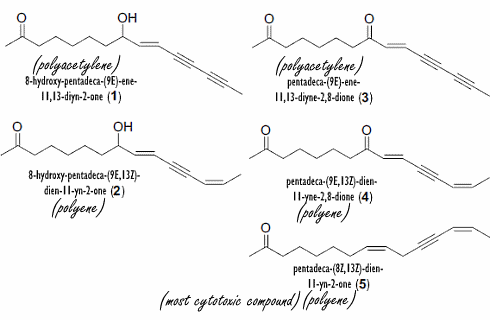 polyacetylenes-poylenes-echinacea-pallida.gif