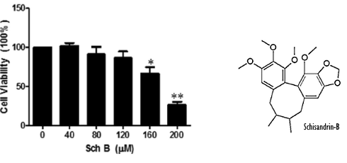 schisandrin-b-fat-cells.gif