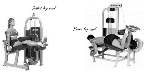 seated-leg-curl-versus-prone-leg-curl.jpg