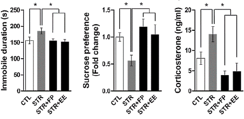 spinach-cortisol-stress-2.gif