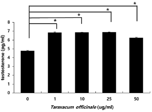 taraxacum-officinale-testosterone.gif