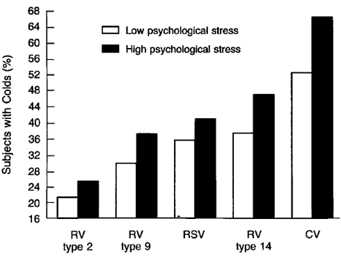 virus-infection-stress-2.gif
