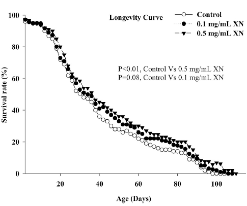 xanthohumol-longevity-stress.gif