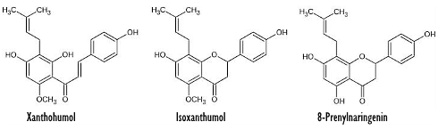 xanthumol-isoxanthumol-8-prenyl-naringenin.gif