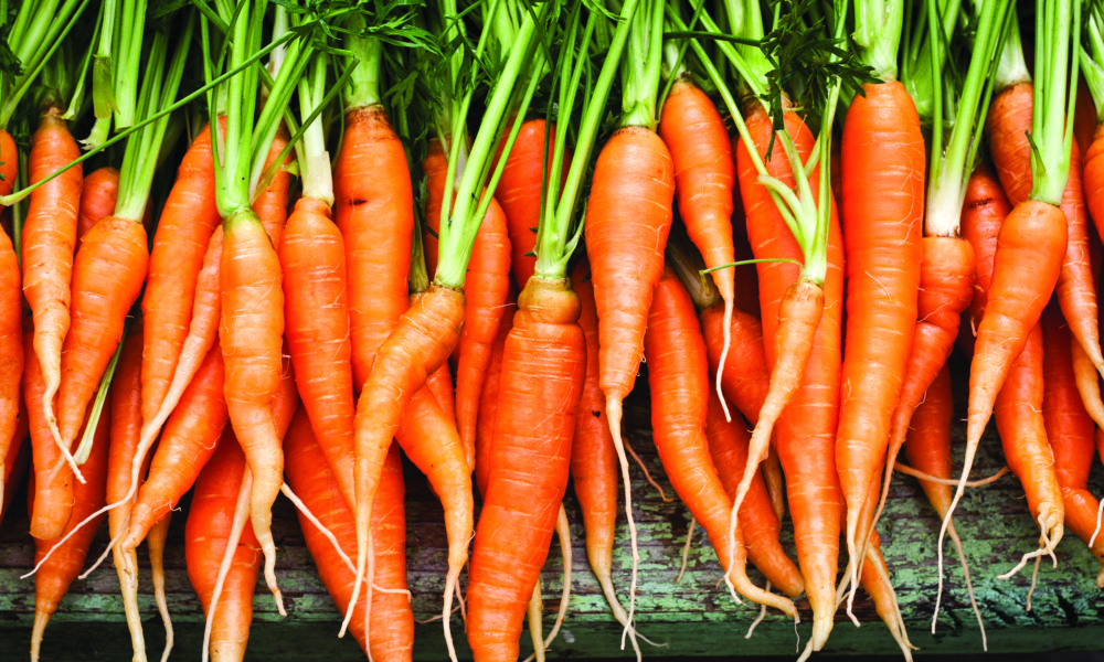 IM1016_ResearchNutrition_Carrots_01-1000x600.jpg
