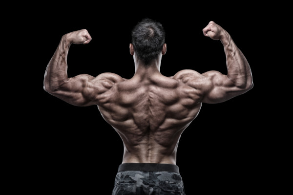muscle tension muscle tension