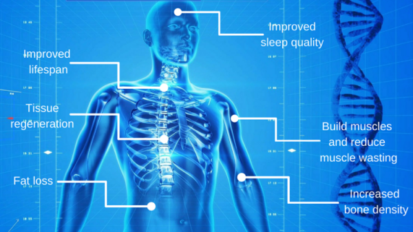 effects-600x337.png